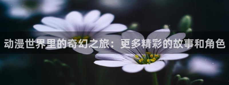 前无古人樱花动漫：动漫世界里的奇幻之旅：更多精彩的故事和角色