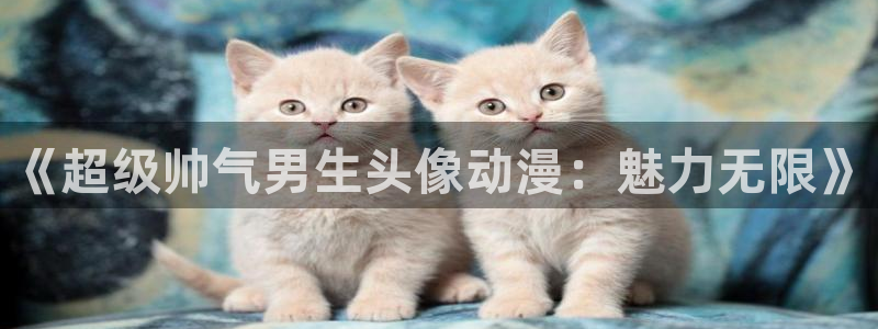 樱花动漫一区：《超级帅气男生头像动漫：魅力无限》