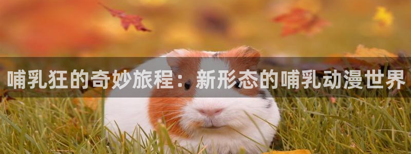 后官露营樱花动漫：哺乳狂的奇妙旅程：新形态的哺乳动漫世界